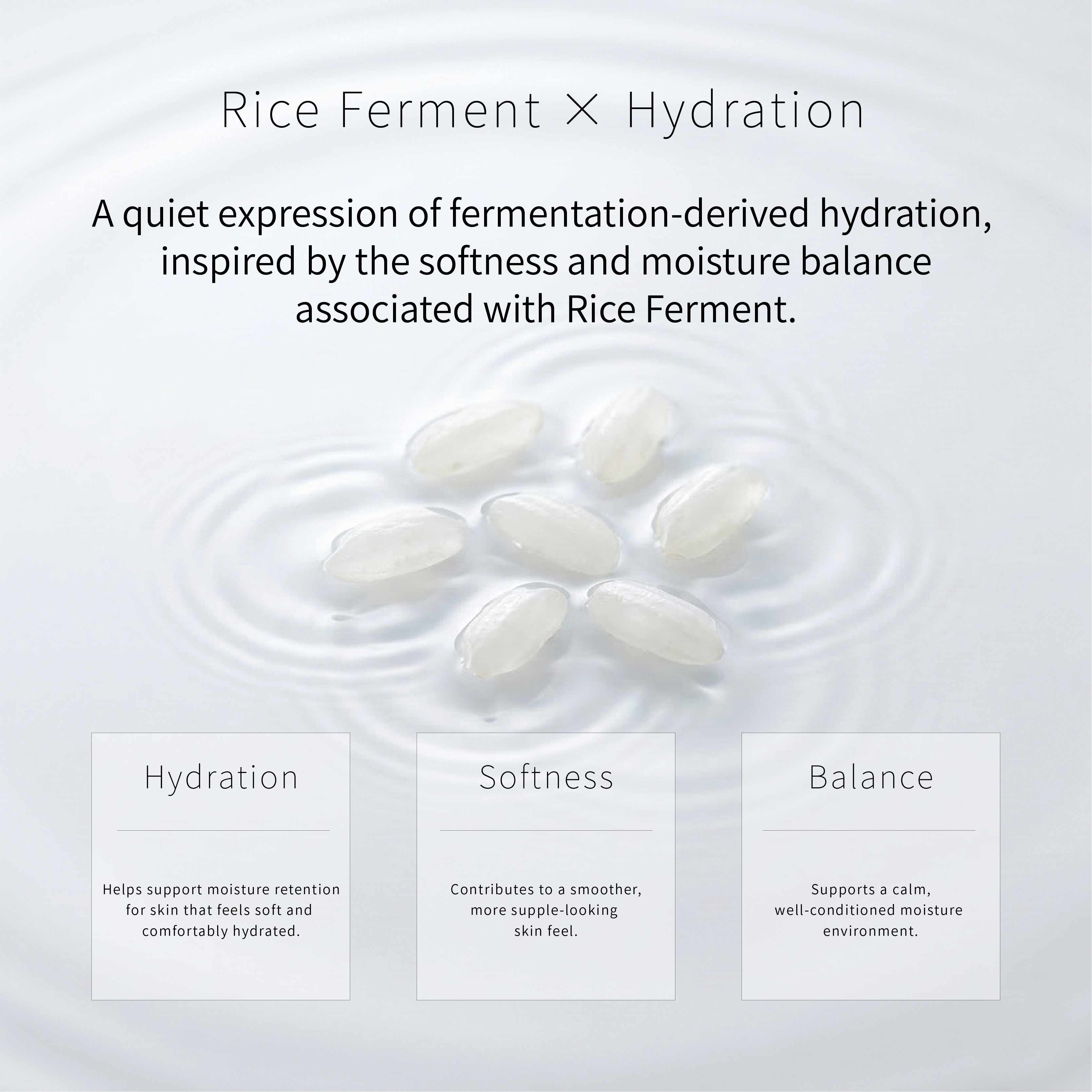 Rice Ferment and Hydration