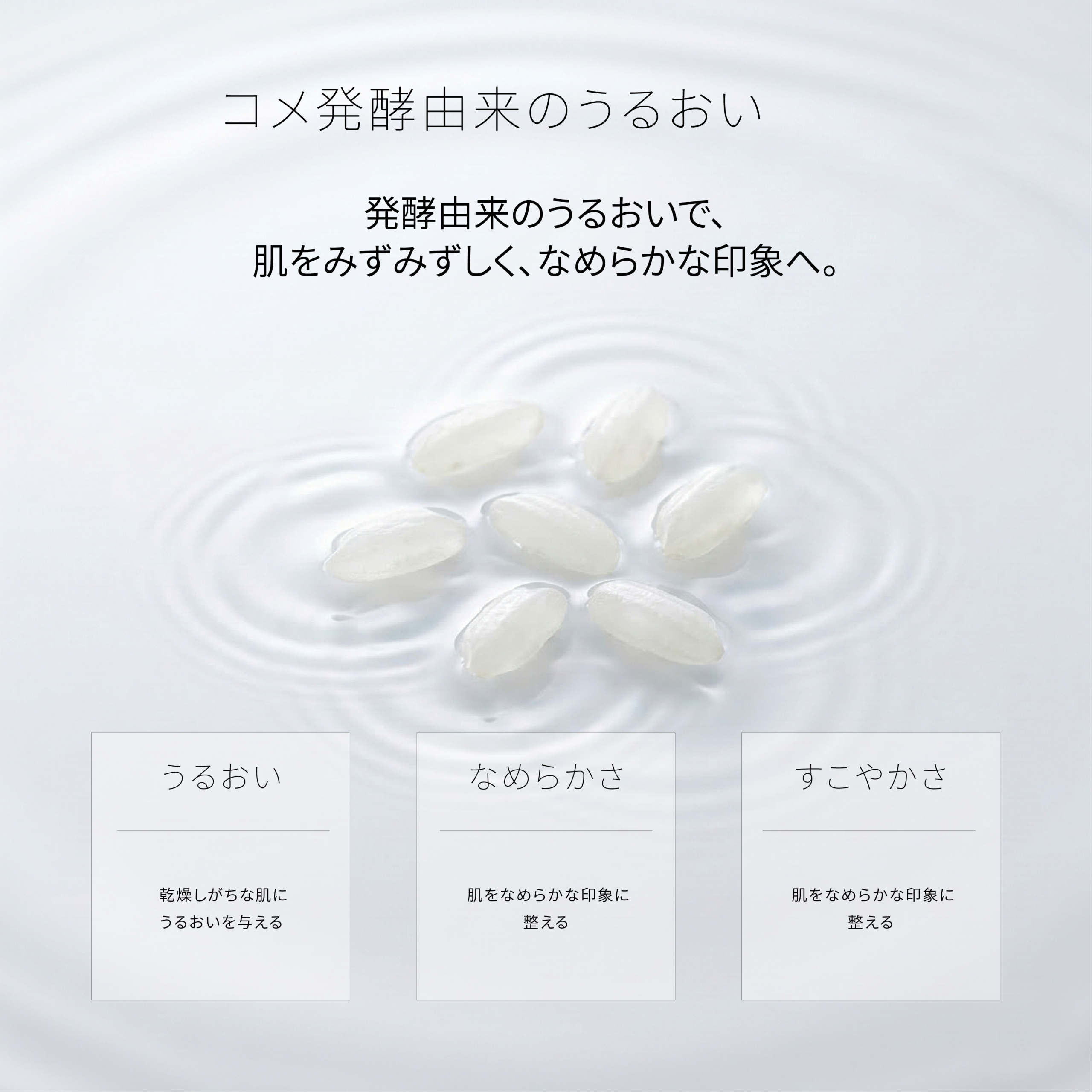 Japanese rice ferment visual for VASA