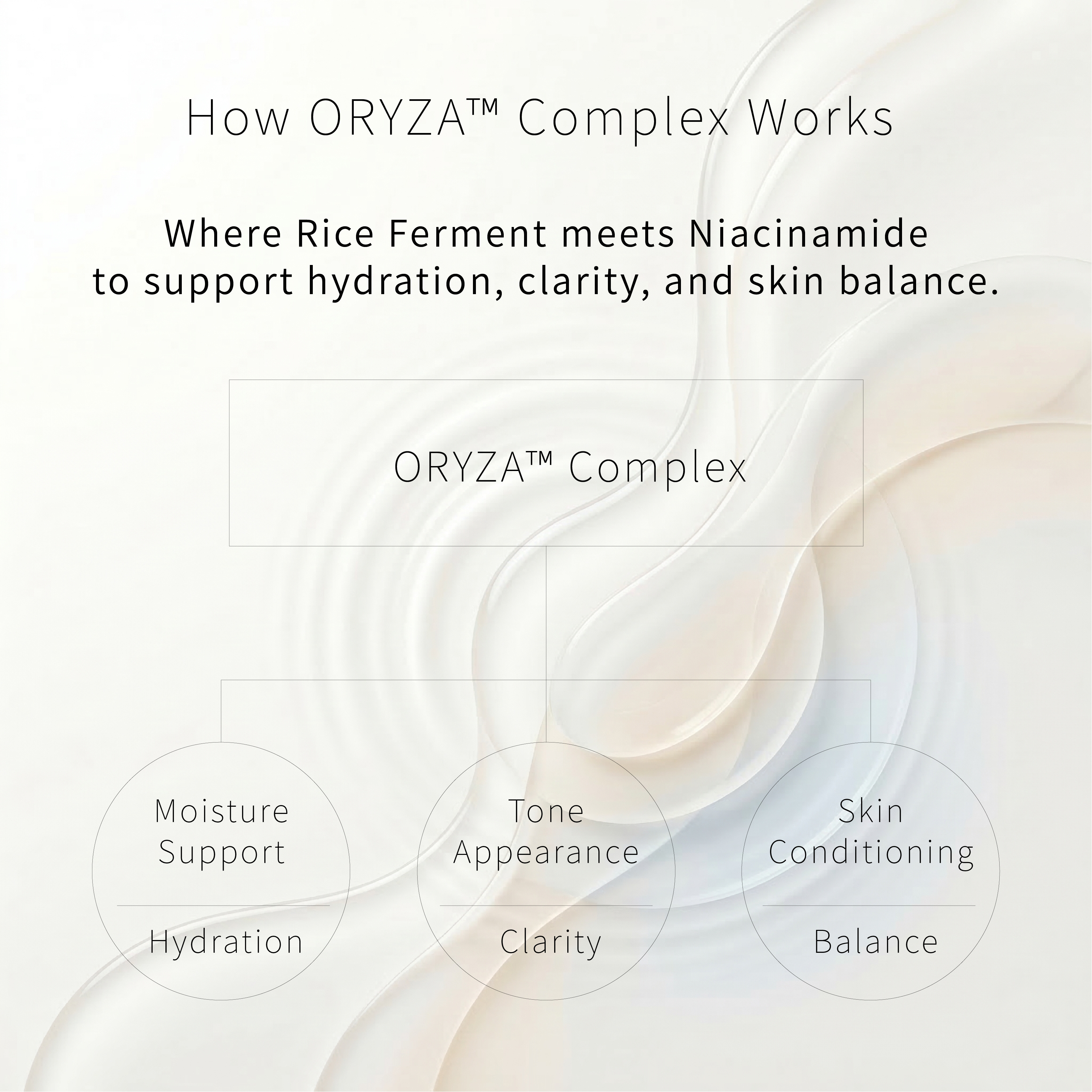 How ORYZA Complex Works