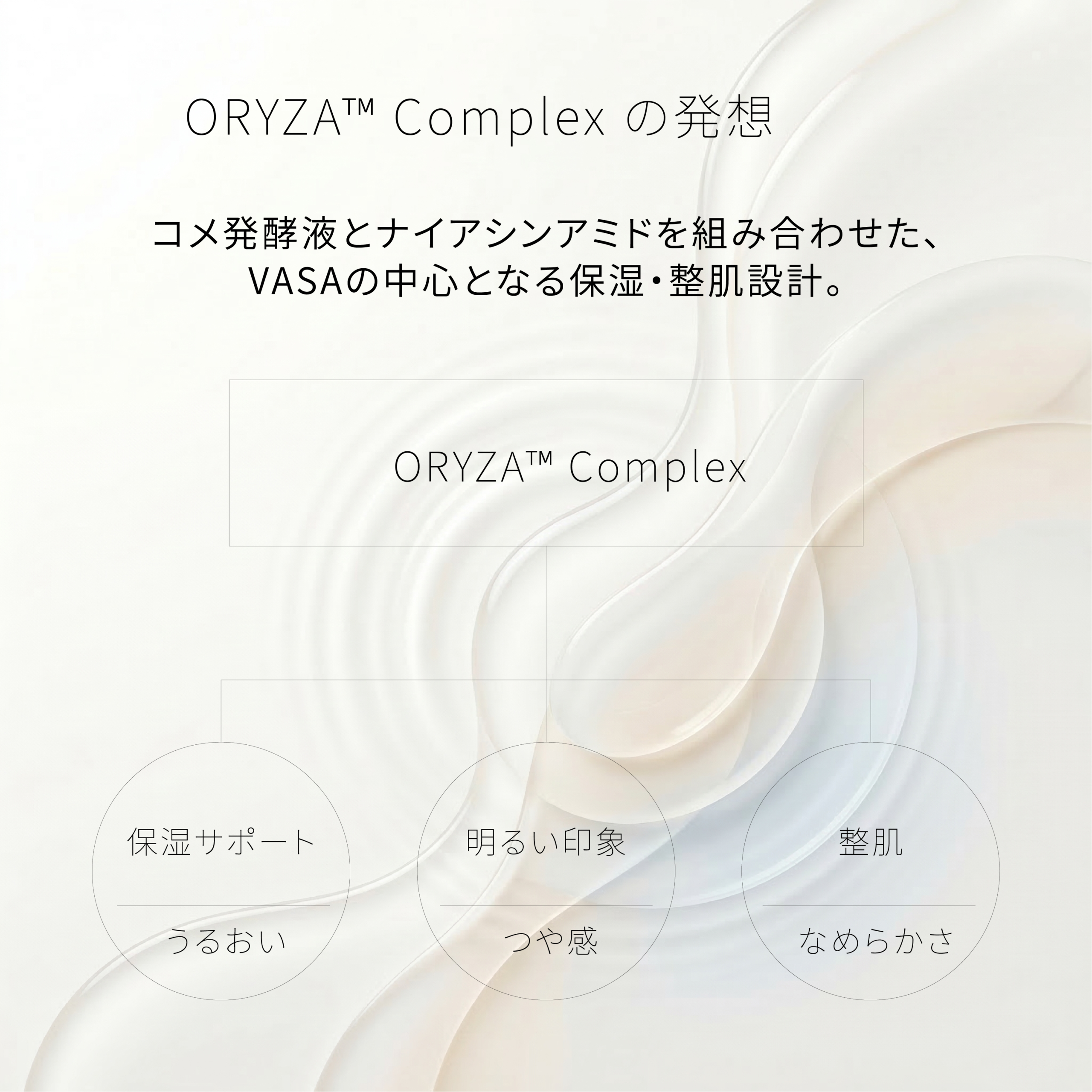 VASA Oryza complex visual